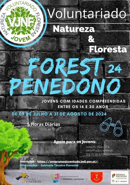  Forest Penedono 24