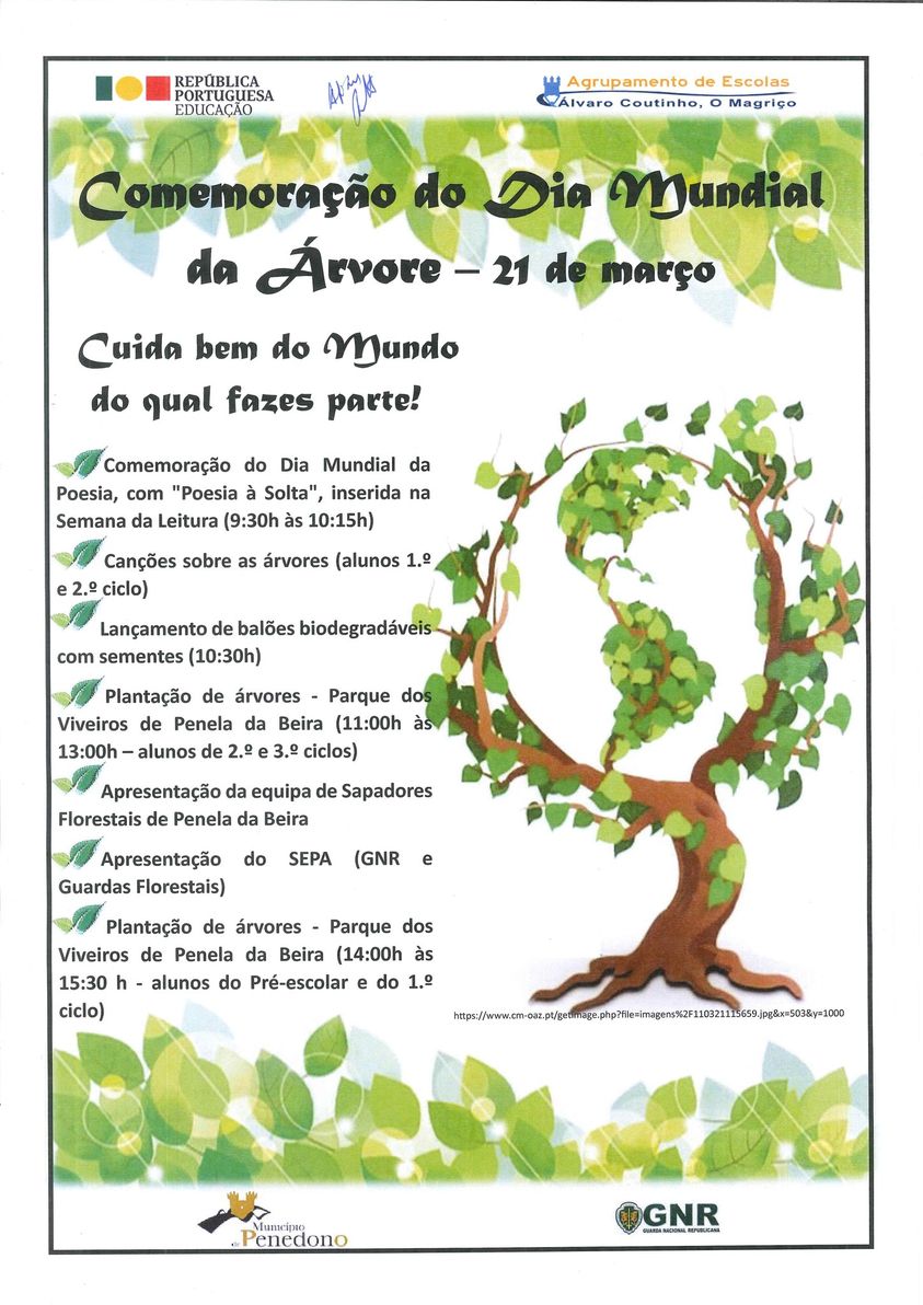  Dia Mundial da Árvore