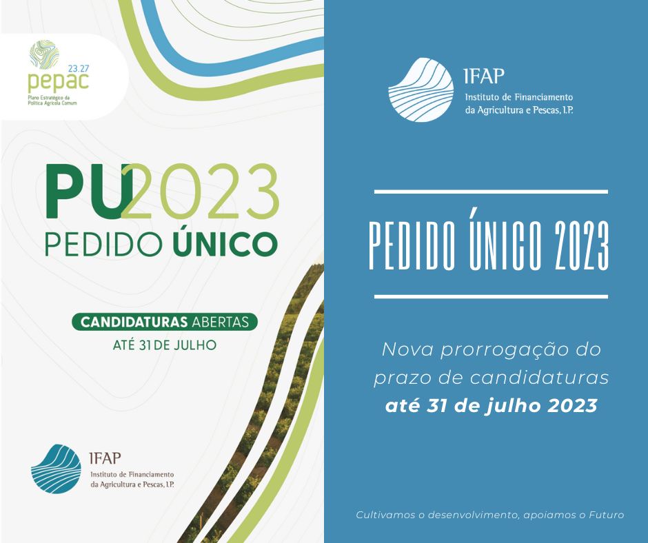 PEDIDO ÚNICO 2023 – NOVA PRORROGAÇÃO DO PRAZO DE CANDIDATURA