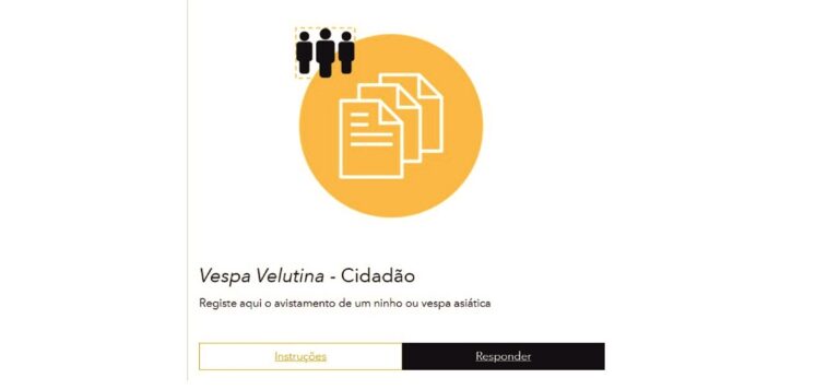 Queimas e Queimadas